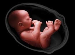 Chấm dứt thai kỳ vì lý do dị tật bào thai được thực hiện như thế nào?
